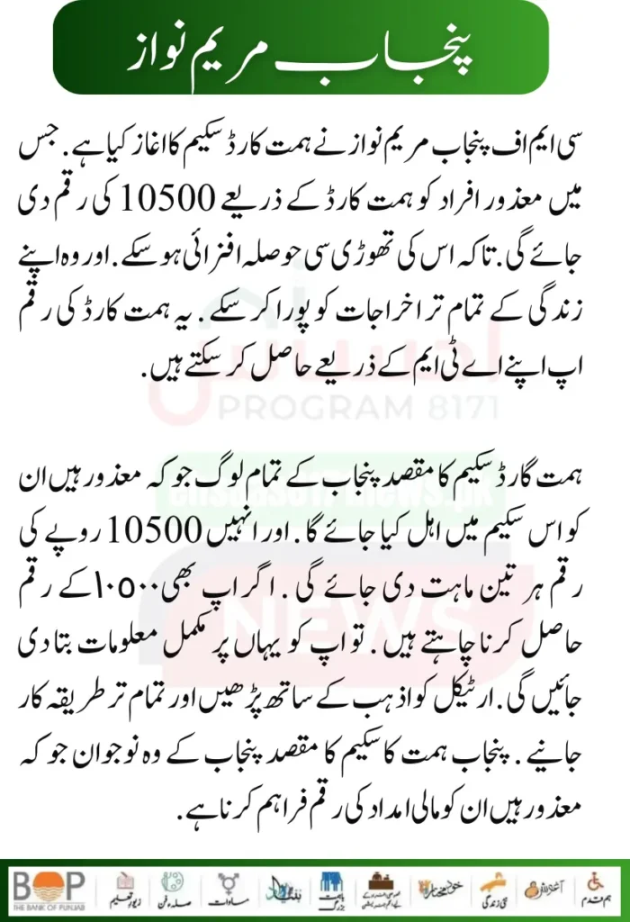 Punjab Government Launches Solar Panels Project for 50000 Eligible Families 6