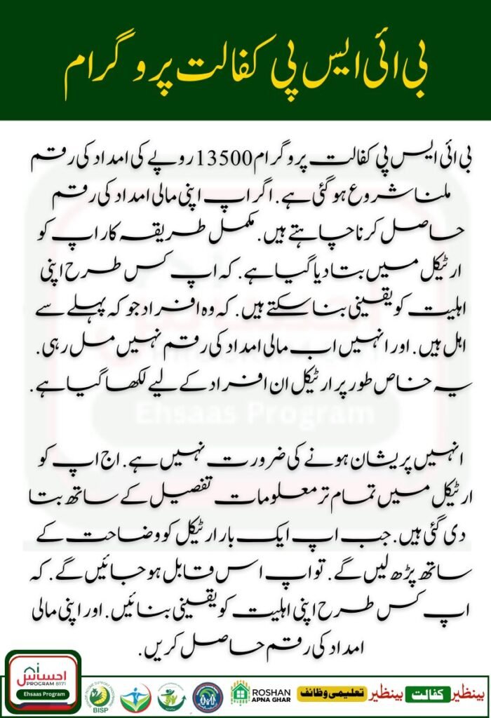 CM Punjab Laptop Scheme 3