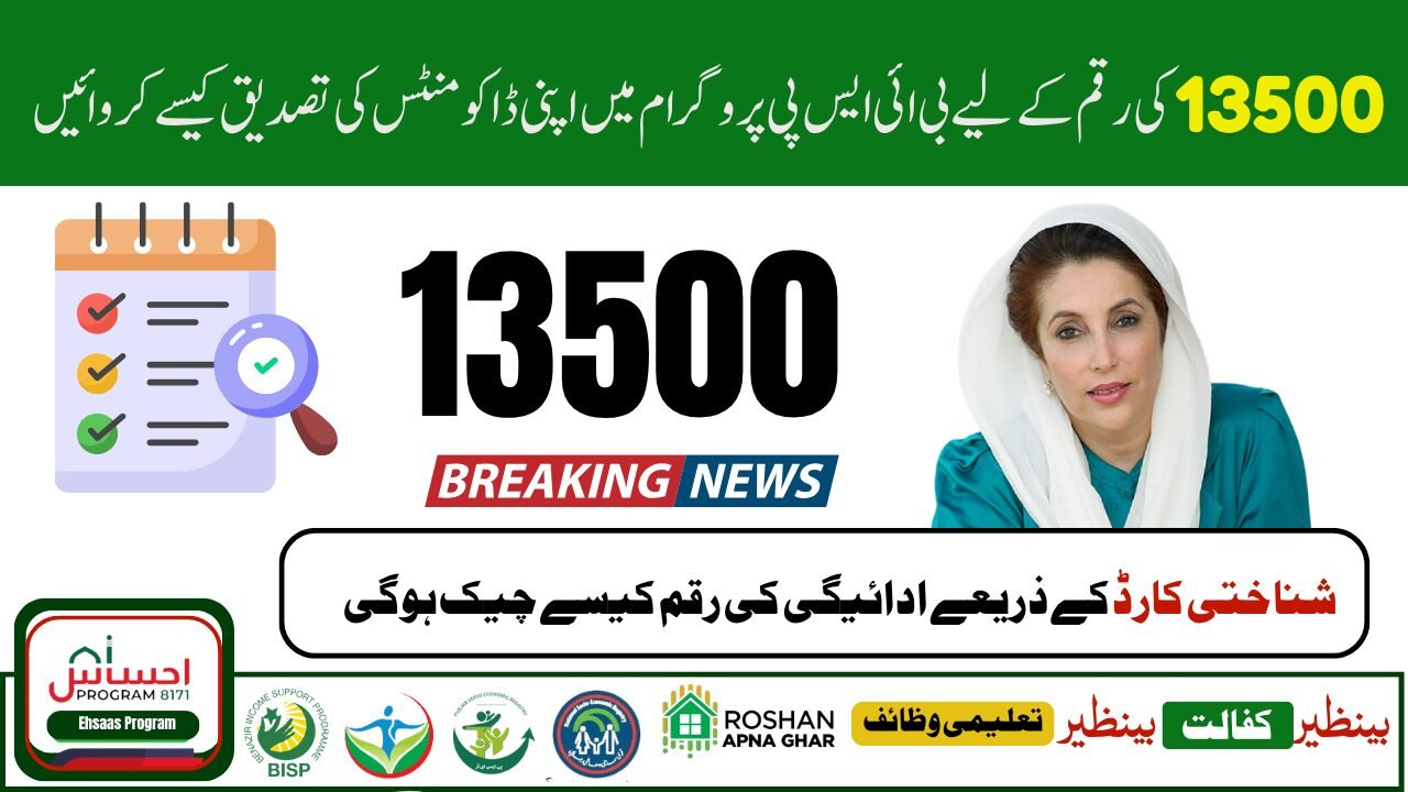 BISP 8171 Web Portal CNIC Payment Verification