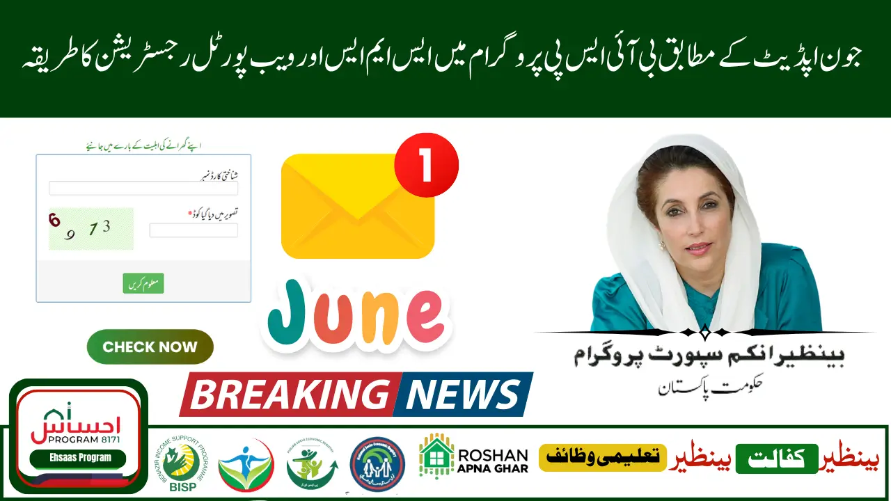 BISP Registration Check By CNIC Through SMS and Web Portal – June 2025
