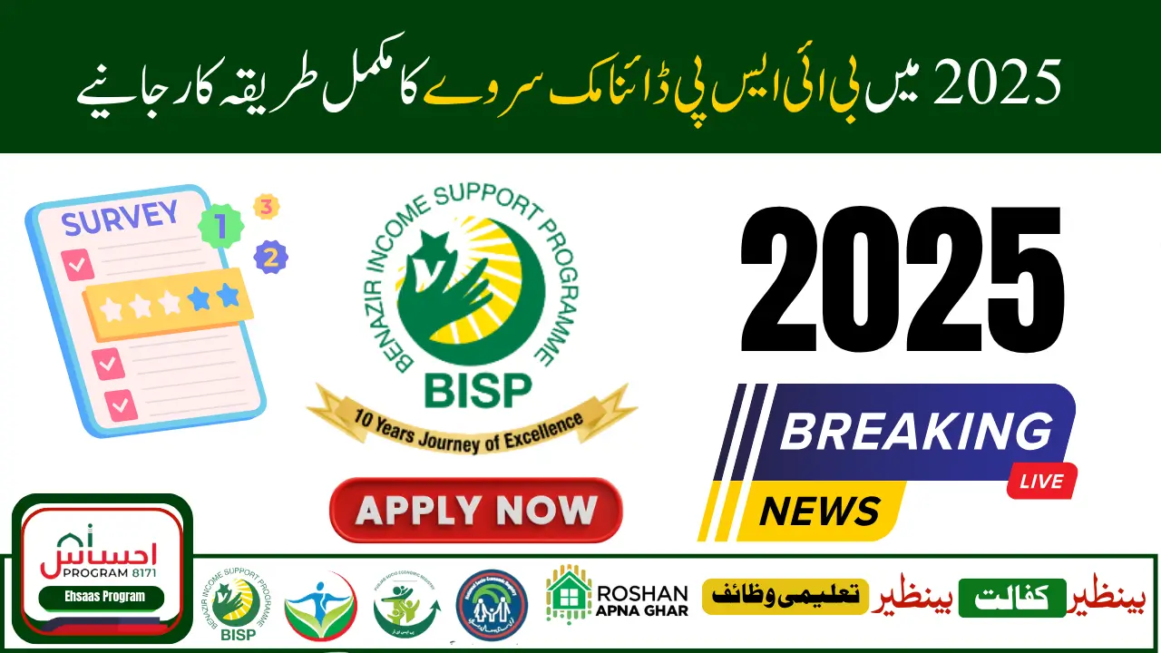 BISP Dynamic Survey 2025