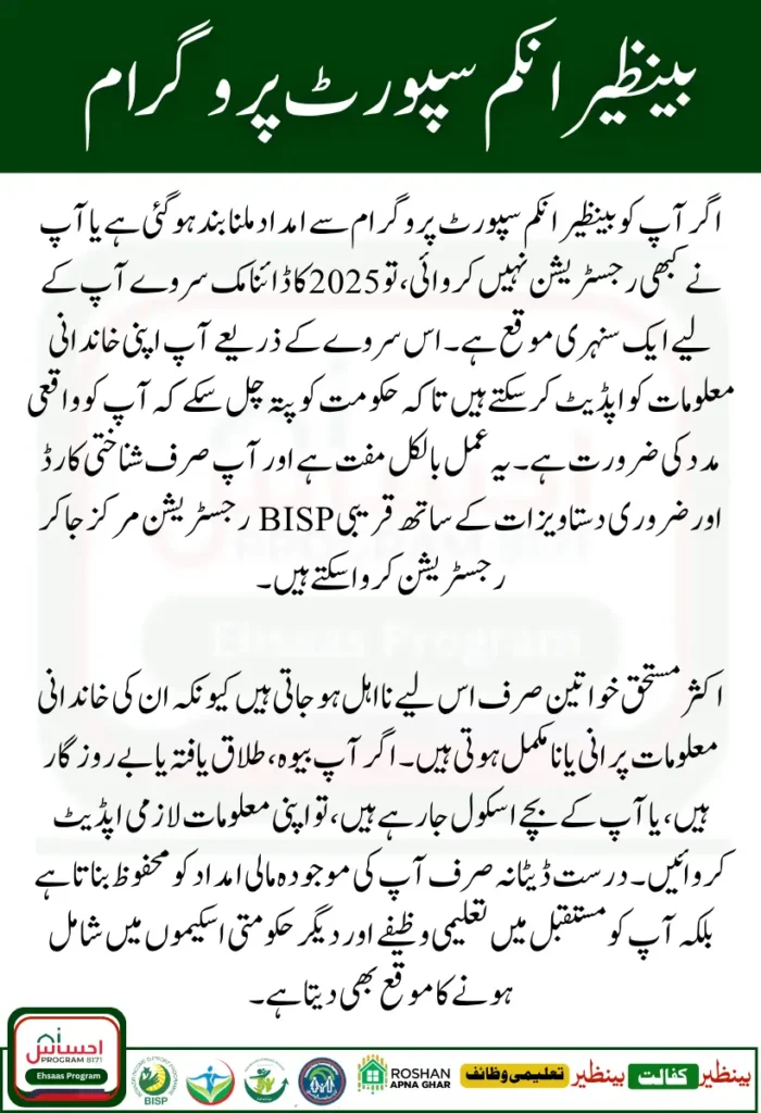 BISP Dynamic Survey 2025