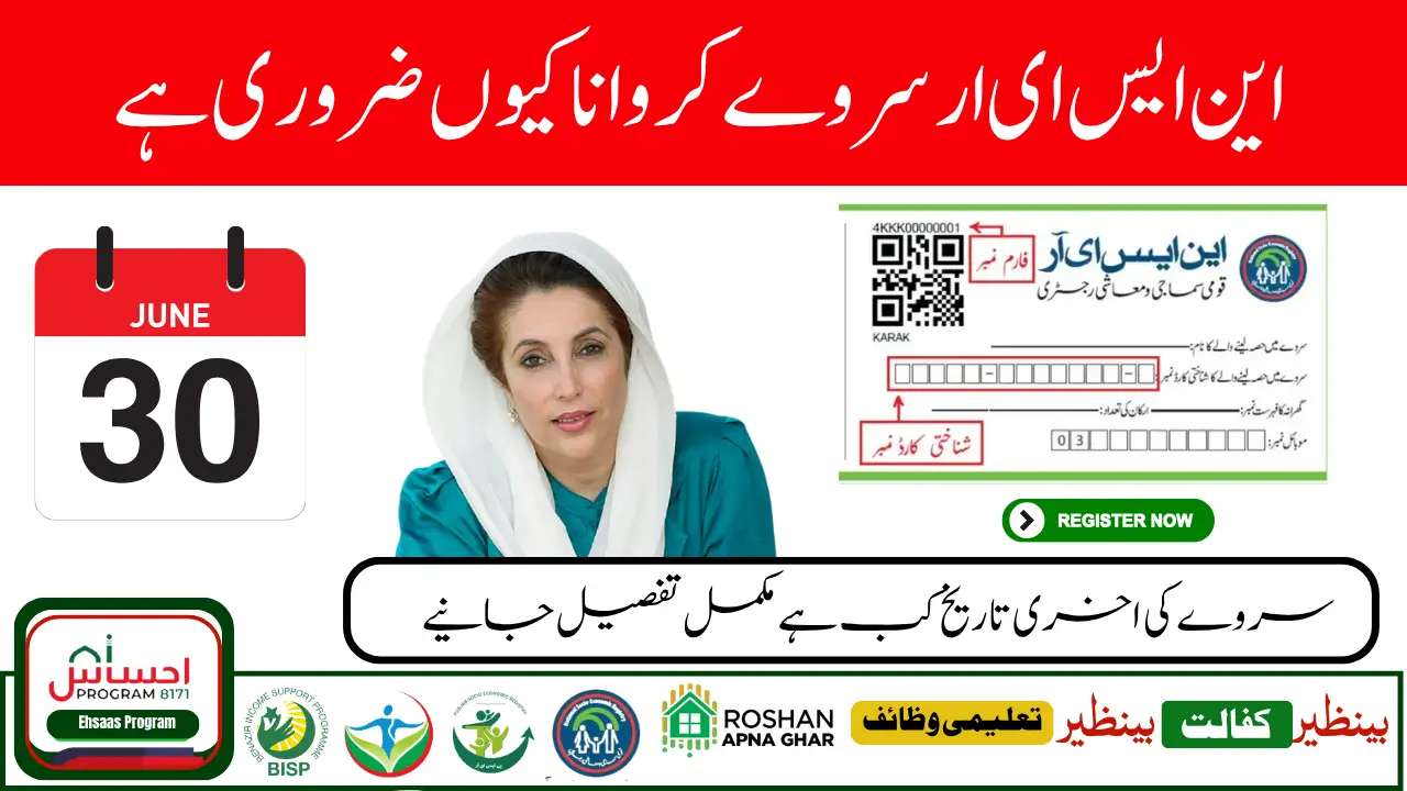 NSER Dynamic Survey June 2025