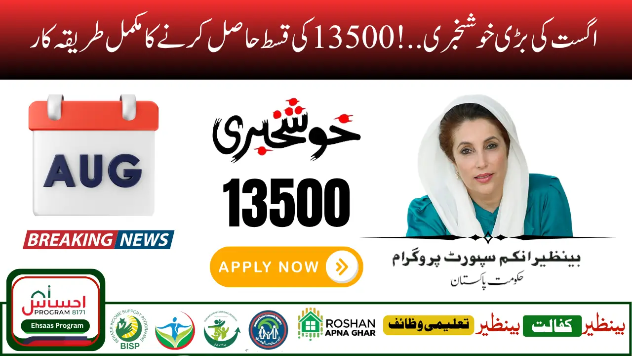 August 2025 – 8171 Web Portal CNIC Confirmation | Check Rs 13500 Payment Status Online