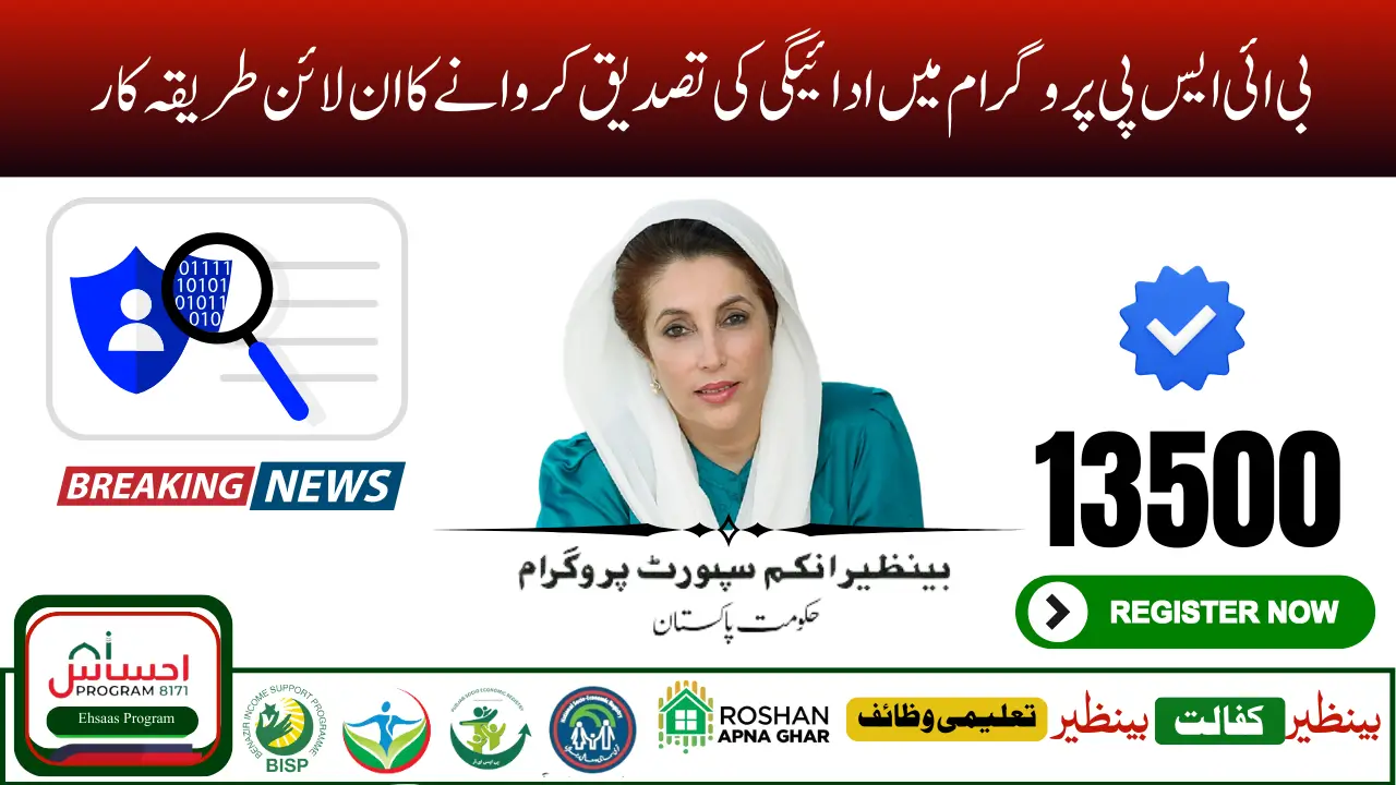 BISP 8171 Payment Verification Process