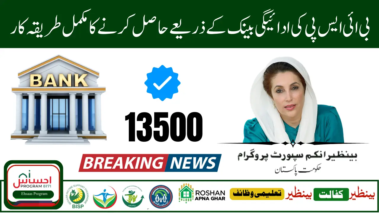 BISP 8171 Program 2025 Instalment Schedule Bank-Wise Complete Guide for Eligible Women