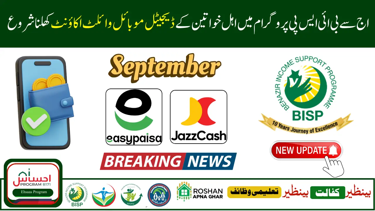 BISP Digital Wallet Payments 2025 – Latest Update & Online Status Check