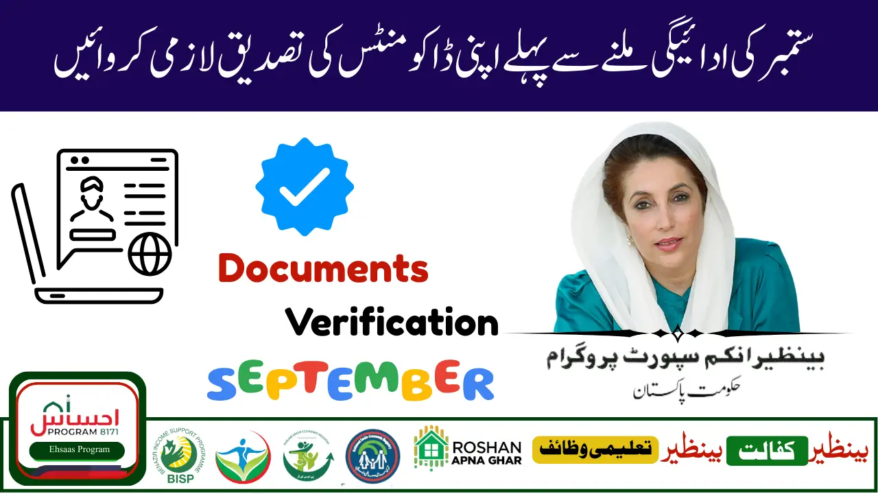 BISP 8171 Payment Verification 2025 – Online Status Check Guide