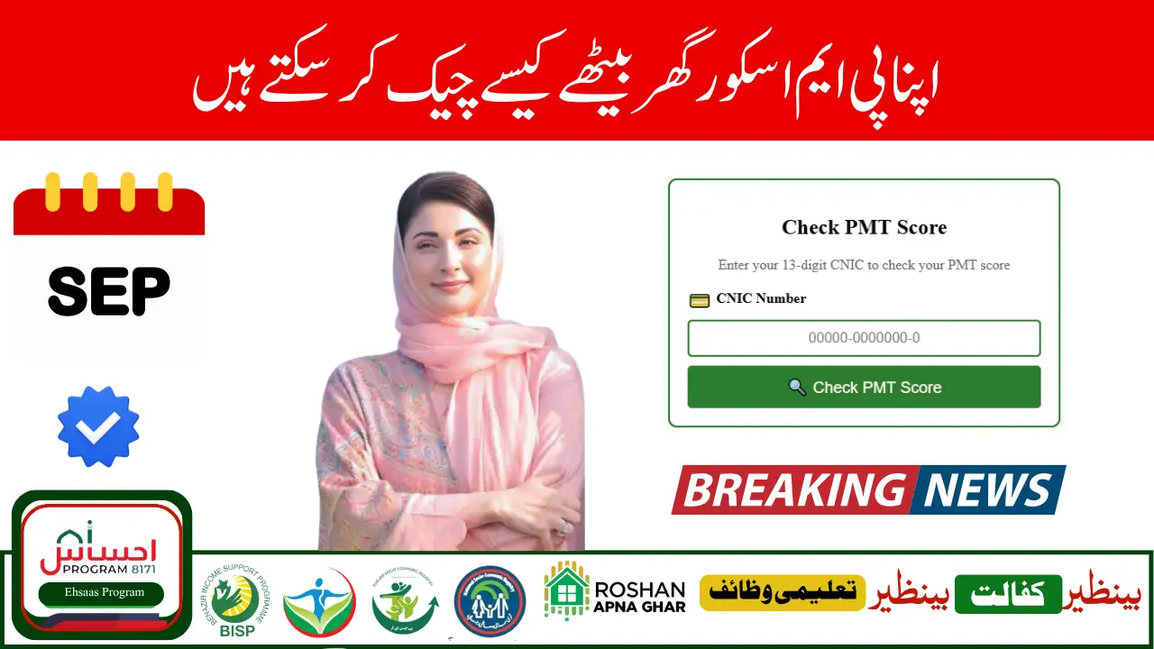 PMT Score Importance in BISP and Punjab Schemes 2025 Complete Guide