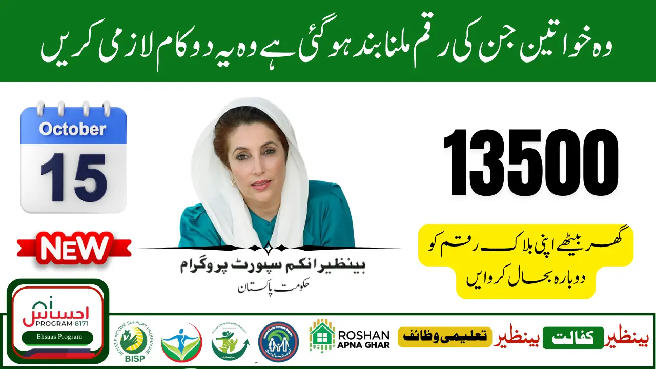 How to Fix BISP Payment Block Due to Tax Record Issues 1 1