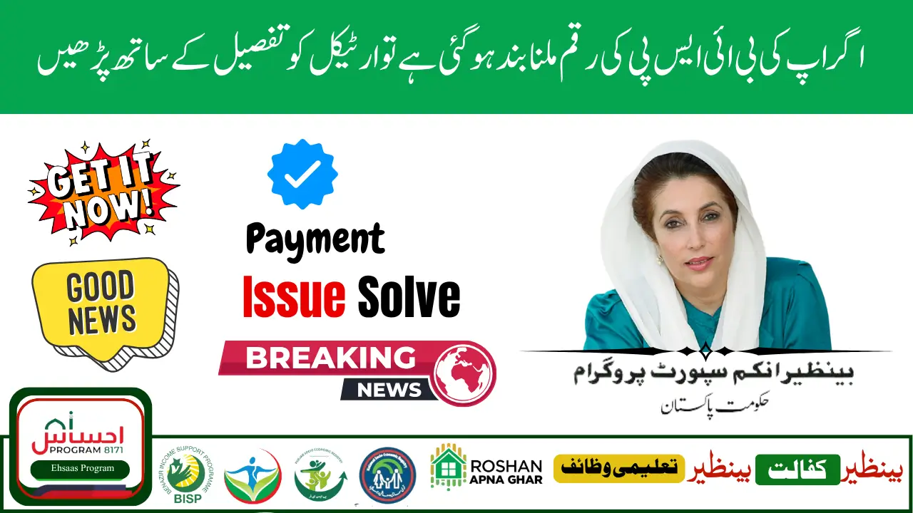 What to Do If Your BISP Payment Is Missing Quick Fixes